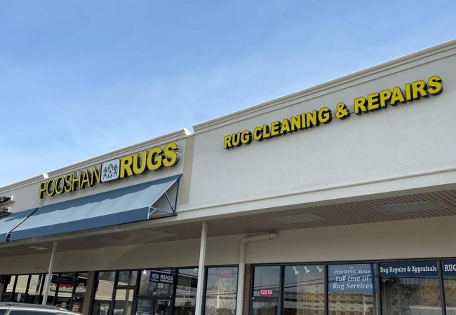 WhatsApp Image 2023-08-26 at 2.46.36 PM (1)