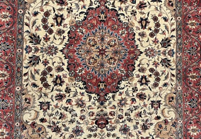 WhatsApp Image 2023-08-26 at 2.48.16 PM