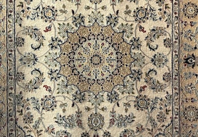 WhatsApp Image 2023-08-26 at 2.48.21 PM